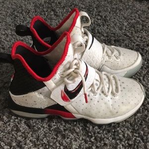 Lebron 14 “flip the switch”